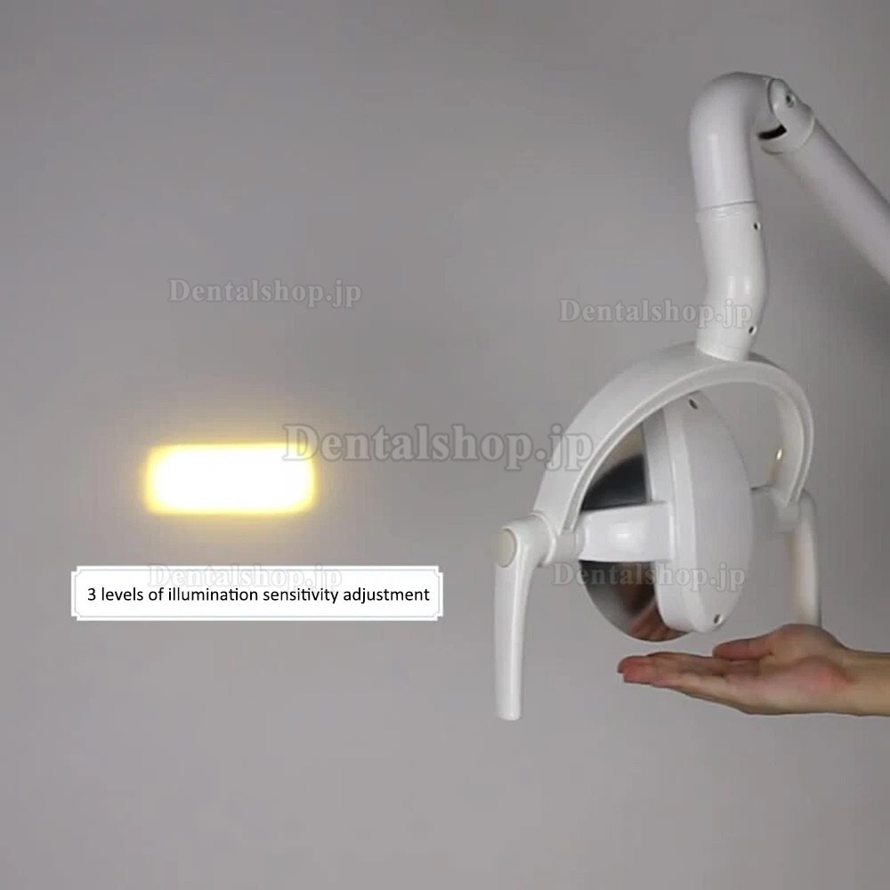 歯科用チェアライト LED口腔内ライトランプ デュアルカラーライト 15W